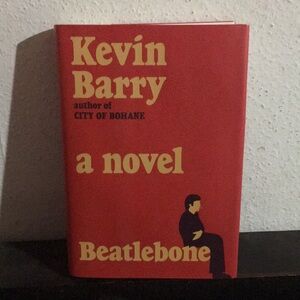 Beatlebone by Kevin Barry (hardcover)